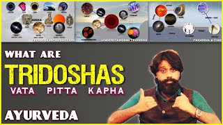 Vata Pitta Kapha Dosha Simple Explanation Easy Ayurveda Animation [upl. by Bravin47]