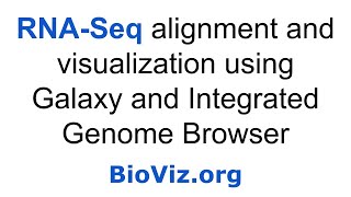 RNASeq Alignment and Visualization [upl. by Anele]