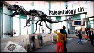 Paleontology 101  Untamed Science [upl. by Nailliw]