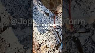 Rock blasting at home digging homesteading explosion farming blackpowder [upl. by Milson952]