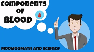 Components of Blood and their function [upl. by Llirrehs]