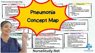 Pneumonia Mind Map Nursing Concept Maps [upl. by Ahsekad59]