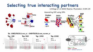 Case studies of proteinprotein interaction  Nobuyuki Uchikoga  Poster  ISMBECCB 2023 [upl. by Adnilreh520]