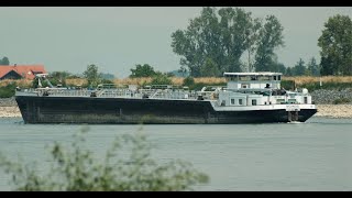 120 Shipspotting Binnenschiffe auf dem Rhein  TMS Moinos aus Wörth am Main bei RiedstadtLeeheim [upl. by Llenrahc]