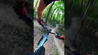 Sunfish Lake Park Mountain Bike Trail rideyourbike mtb sendit [upl. by Eirrek]