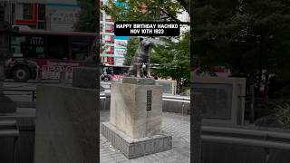 Happy Birthday hachiko japan japanlife [upl. by Maudie616]