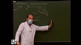 Anatomie générale 5  Appareil respiratoire General anatomy of the respiratory system [upl. by Bibah]