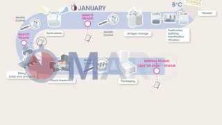 Flu Vaccine Production Process for the Southern Hemisphere [upl. by Hardigg388]