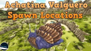 Where to find Achatinas on Valguero Ark Survival Evolved [upl. by Xerxes]