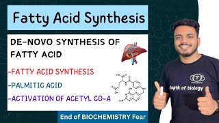 de novo synthesis of fatty acids  biochemistry  palmitic acid synthesis biochemistry sgsir [upl. by Aizitel]