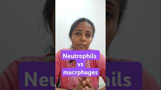 phagocytosis physiology class mbbs1styear physiologyvideos physiologylectures [upl. by Newg808]