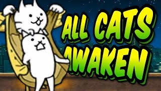 SO MANY TRUE FORMS  Awakens Specials Stages  Battle Cats 27 [upl. by Sylas]