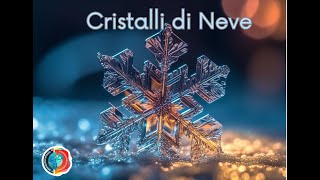 CRISTALLI DI NEVE [upl. by Hanako]