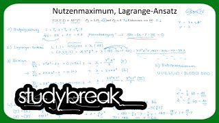 Nutzenmaximum Optimales Konsumgüterbündel LagrangeAnsatz  Mikroökonomie [upl. by Ettore]