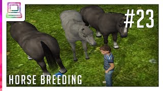 My Riding Stables  Stable Manager part 23 Horse Game [upl. by Asset]