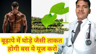 घोडे़ जैसी ताकत होगी अगर ये यूज करोगे  giloy Benefits  giloy ko kaise use kare  giloy ke fayde [upl. by Ellatsyrc]