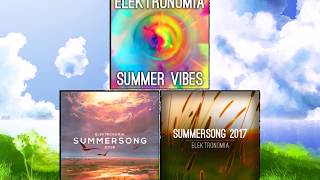 Elektronomia  Summersong 20172018Vibes Mashup [upl. by Sillek433]