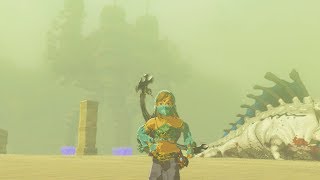 Fighting Molduga King before Boarding Divine Beast Vah Naboris  Zelda Breath of the Wild [upl. by Uela]