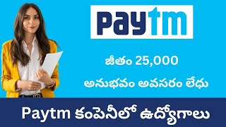 డిగ్రీ అర్హతతో Paytmలో ఉద్యోగాలు Any DegreeNo ExperienceFree laptop job jobsearch [upl. by Virgil]