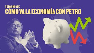 Cómo va la economía con Petro Feat Economía para La Pipol [upl. by Lanette]