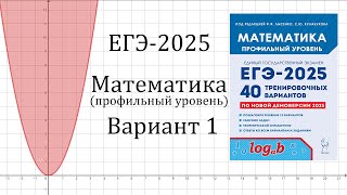 ЕГЭ2025 Математика профиль  Вариант 1 задачи №112 Лысенко [upl. by Dugas]