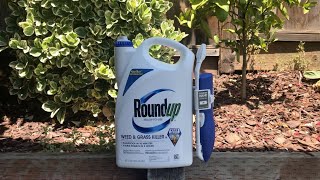 Review Roundup weed and grass killer [upl. by Lennor]