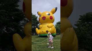 Pokémon GOFest Sendai [upl. by Milah]