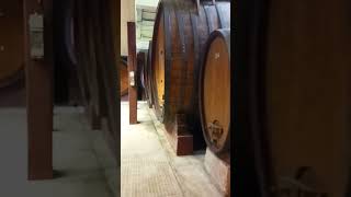 957 quotCANTINA STORICAquotAGRION TENUTA CANNONA IN CARPENETOAL [upl. by Marino399]