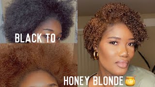 DYING MY HAIR FROM BLACK TO HONEY BLONDE Creme of Nature 🍯 Oprah [upl. by Cusack]