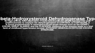 Medical vocabulary What does 11betaHydroxysteroid Dehydrogenase Type 2 mean [upl. by Leahcimauhsoj983]