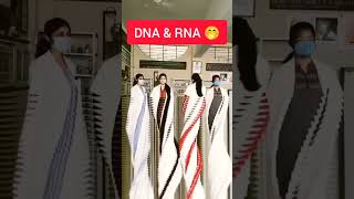 DNA ও RNA এর গঠন😅 biology dna rna hsc admission admission shortvideo youtubeshorts youtube [upl. by Penman]