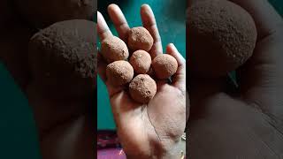 seed balls preservationseed Tree seeds preservation ancient method [upl. by Ahseiyk257]