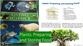 PLANTS PREPARING AND STORING FOOD  LIVING SCIENCE  RATNA SAGAR  CLASS 4 [upl. by Ranit156]