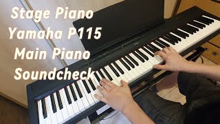 Stage Piano Yamaha P115 Main Piano Sounds Only Play No Talking [upl. by Eniamerej285]