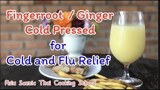 Fingerroot  Ginger Cold Pressed for Cold and Flu  Thai Herbs Drinking  Thai Cooking Class Online [upl. by Elysia]