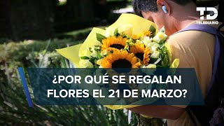 ¿Por qué se regalan FLORES AMARILLAS el 21 de marzo Este es el significado [upl. by Oznofla135]