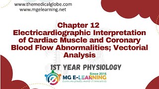 Electrocardiographic Interpretation of Cardiac Muscle and Coronary Blood Flow Chapter 12  Heart [upl. by Nayt]