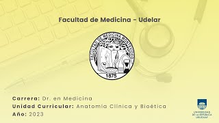 Articulación Coxo Femoral Parte 2 [upl. by Hairahcaz]