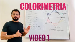 COLORIMETRIA DEL CABELLO  VIDEO 1 [upl. by Eenahpets171]