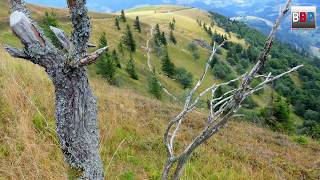 MOUNTAIN Belchen  1414 m  Schwarzwald  Black Forest Germany 14082018 [upl. by Legnaros]