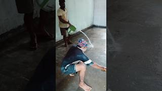 Correct method of floor cleaning before tile laying  youtubeshorts home [upl. by Bellina]