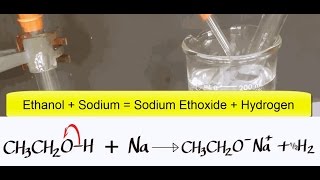 Alcohols Advanced 7 Ethanol reacting with Sodium [upl. by Erlin441]