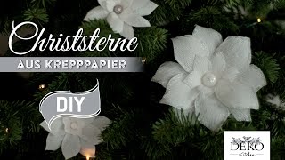 Weihnachtsdeko basteln Christsterne aus Krepppapier How to  Deko Kitchen [upl. by Katrine]