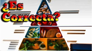 La VERDAD sobre la PIRÁMIDE ALIMENTICIA [upl. by Langbehn]