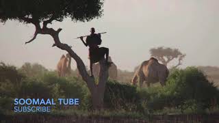 DHAANTO JUBALAND MA IKSU AROOSNAASOOMAAL TUBE NEW VIDEO CUSUB SOOMAAL TUBE [upl. by Danyluk]