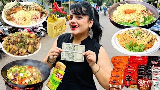 Living on Rs 1000 for 24 Hours Challenge  Food Challenge Mumbai [upl. by Arhas]