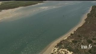 Australie  lagune de Coorong [upl. by Esserac]