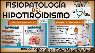 HIPOTIROIDISMO FISIOPATOLOGÍA  GuiaMed [upl. by Artemus]