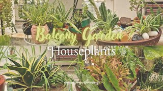 Balcony Garden Overview  Houseplant collection [upl. by Aneerahs472]