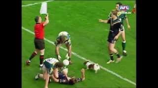 Dog invades International Rules match  AFL [upl. by Darill]